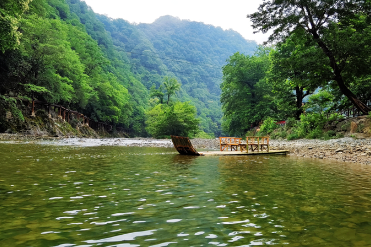 【小隴畫報·95期】康縣：來陽壩，“森”呼吸，我“氧”你