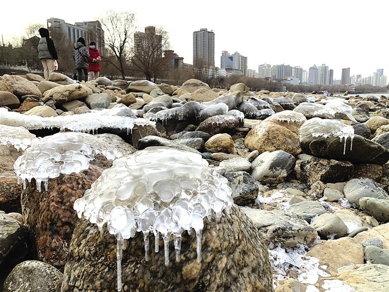 蘭州：水母上河灘？