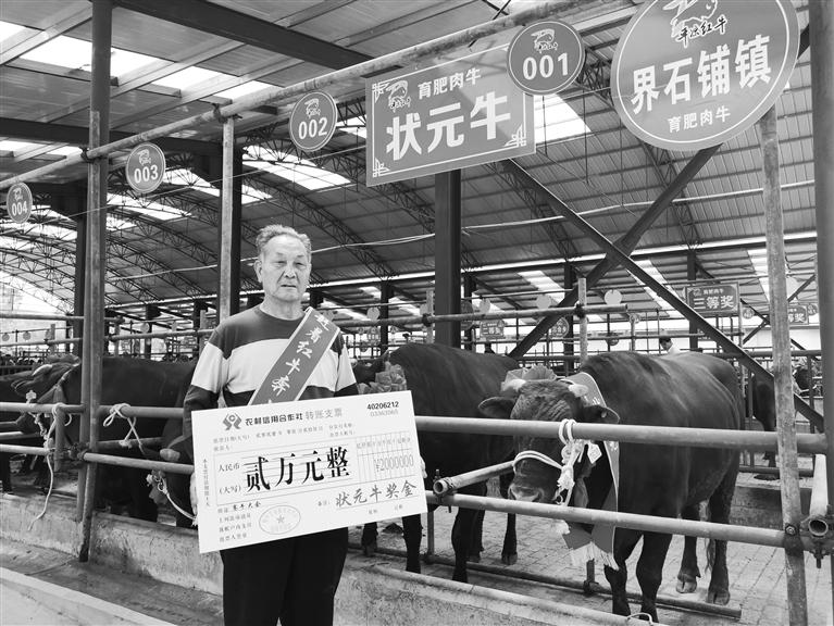 120頭“平?jīng)黾t?！膘o寧爭(zhēng)霸