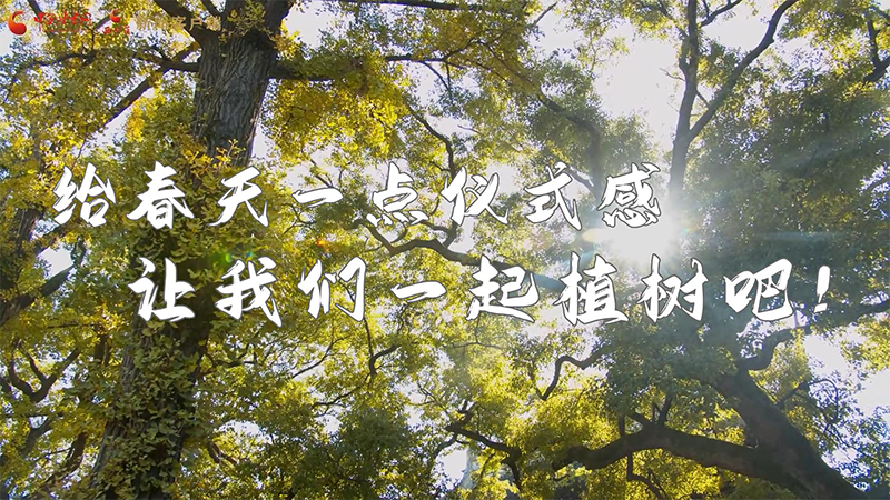 短視頻|給春天一點(diǎn)儀式感，讓我們一起植樹吧！