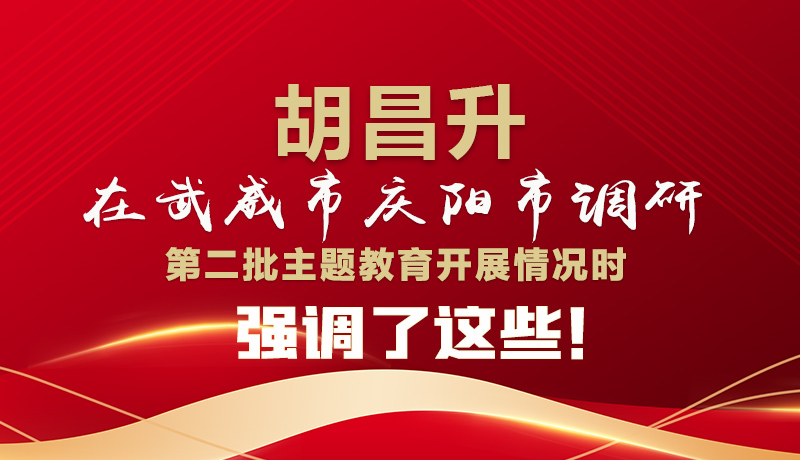 圖解|胡昌升在武威市慶陽市調(diào)研第二批主題教育開展情況時(shí)強(qiáng)調(diào)了這些！
