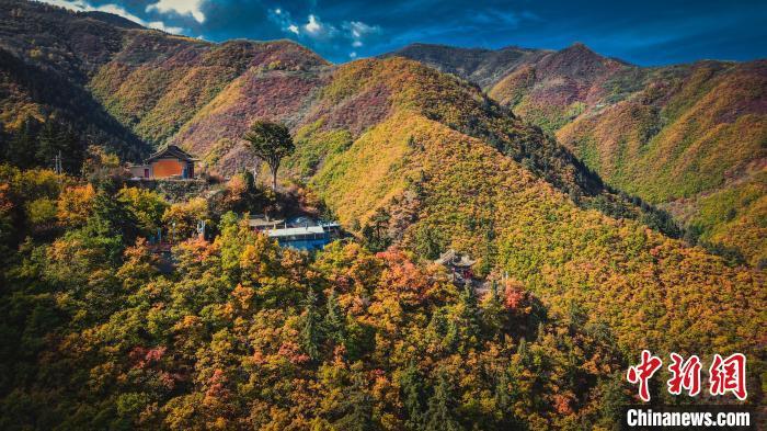 深秋，位于蘭州市榆中縣的興隆山，似打翻調(diào)色板。金峯 攝