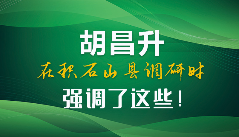 圖解|胡昌升在積石山縣調(diào)研時強調(diào)了這些！