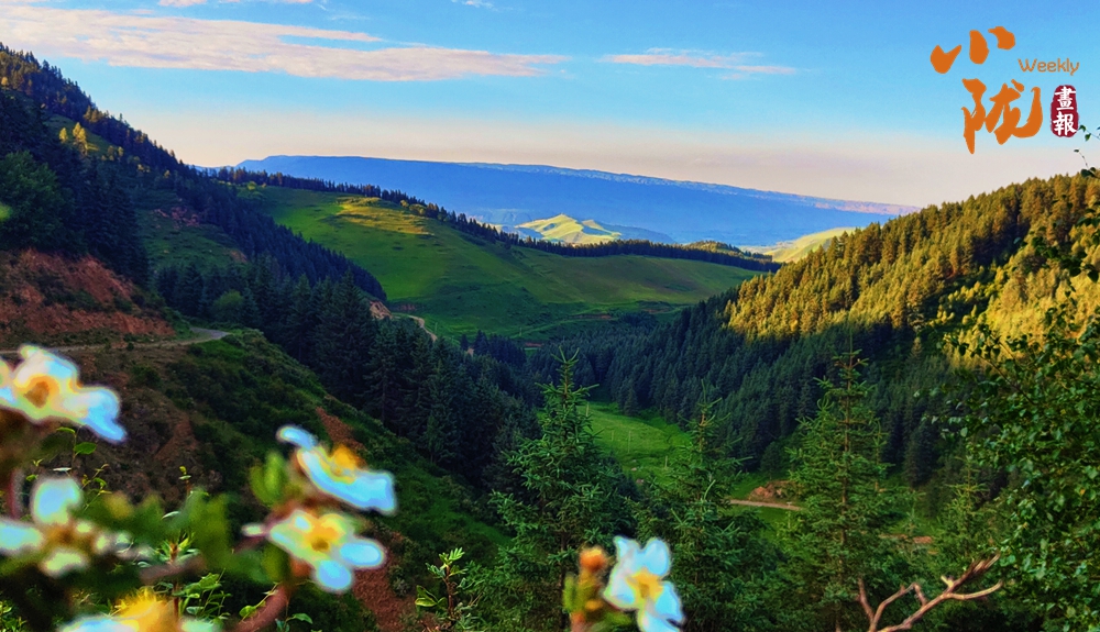 【小隴畫(huà)報(bào)·416期】肅南：一眼心動(dòng) 祁連山秋日的配色太美了！