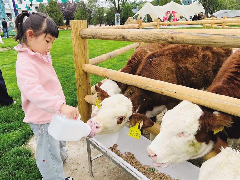 “雙節(jié)”消費(fèi)熱潮涌動(dòng) 甘肅假日經(jīng)濟(jì)活力十足