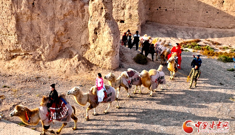 隴拍客丨駝鈴悠揚(yáng) 穿越千年——33峰駱駝重現(xiàn)駱駝城遺址