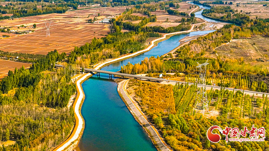 隴拍客丨臨澤：彩色屏障 守護生態(tài)家園